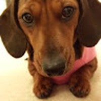 Profile Picture of Dawn Shaw-moir (oa Teacher) (@dawn-shaw-moir-oa-teacher) on Quora