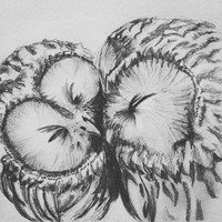 Profile Picture of Jenna Pritchett (@jenna-pritchett-7) on Quora