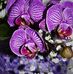 Profile Picture of Doris Westermann (@Doris-Westermann) on Facebook