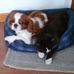 Profile Picture of Becky Hopp (@becky.hopp.1) on Facebook