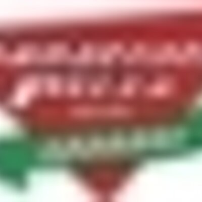 Profile Picture of Joe Schiavone (@panzpizza) on Twitter