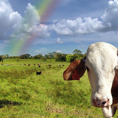 Profile Picture of Joe Nocera (@jnocera3) on Twitter