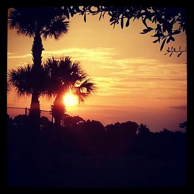 Profile Picture of Julie Holcomb (@purpleja9096) on Twitter
