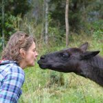 Profile Picture of Pamela Carlson (@pamela.carlson) on Instagram