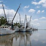 Profile Picture of David K. Dufala (@davidk.dufala) on Instagram