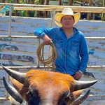 Profile Picture of Raul Linares Jimenez (@raul.linaresj) on Instagram