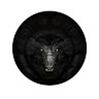 Profile Picture of Kraig Roberts (@kraig-roberts-1) on Quora