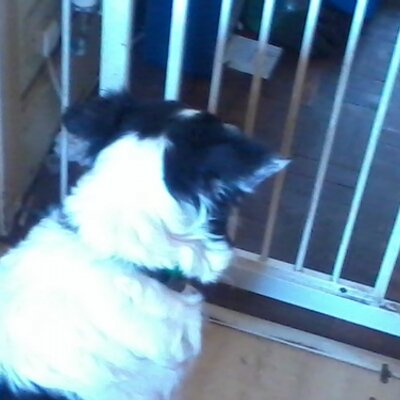 Profile Picture of Matthew Cropley (@Matthew76956007) on Twitter