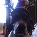 Profile Picture of Shelly Albrecht (@shellbob63) on Instagram