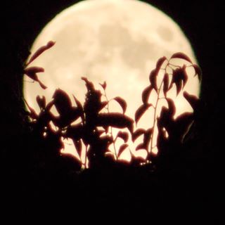 Profile Picture of Crystal Lamb Noether (@crystalnoetherbanyon) on Facebook