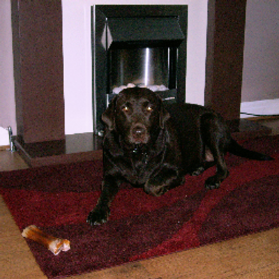 Profile Picture of Brian Daggett (@brio1976) on Twitter