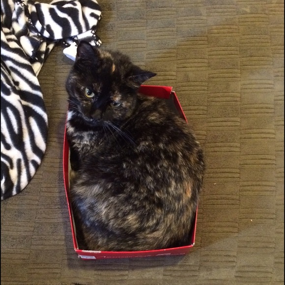 Profile Picture of Dawn Friemel (@trojanmom) on Poshmark