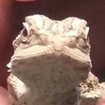 Profile Picture of Douglas Reimler (@douglasreimler) on Instagram