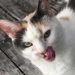 Profile Picture of Stephanie Roberts (@stephintdot) on Instagram