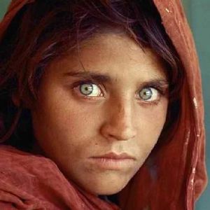 Profile Picture of Alan Zheng (@395919850) on Myspace