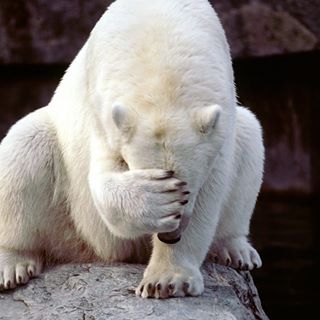 Profile Picture of Robin Rotthen (@robin.gotlieb.3) on Facebook