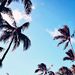 Profile Picture of Joel Leonhardt (@jmleonhardt88) on Pinterest