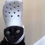 Profile Picture of chad (@maggie_toilet) on Instagram