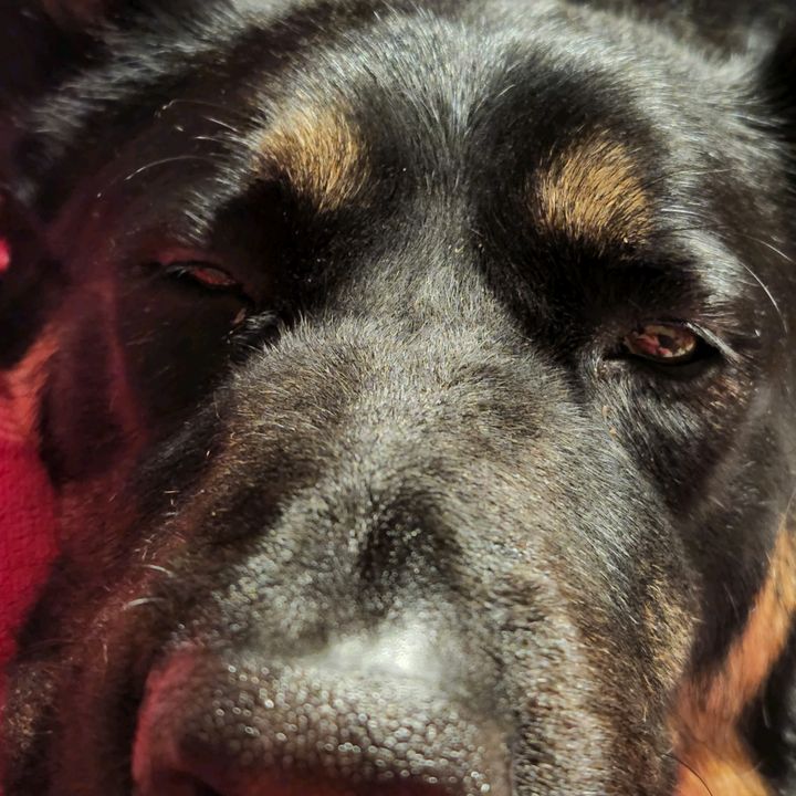 Profile Picture of mathewfaucher (@mathewfaucher) on Tiktok