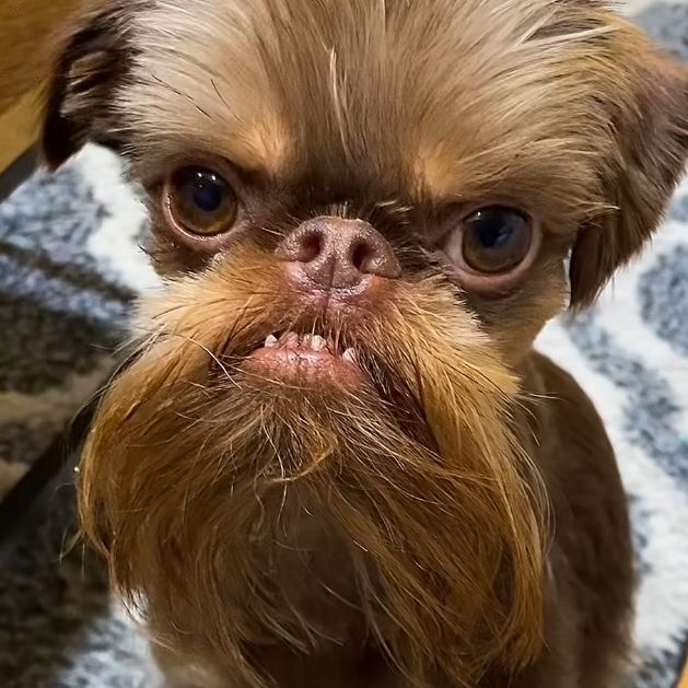 Profile Picture of meg (@megschmidtt) on Tiktok