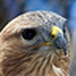 Profile Picture of Jose Luis Pastor (@jose luis pastor) on Flickr