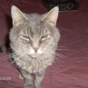 Profile Picture of Lynn Malcom (@254245888) on Myspace