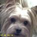 Profile Picture of Judy Garrett (@judy.garrett.18) on Facebook