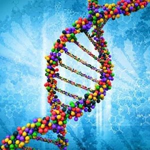 Profile Picture of Kamalmizam (@mizamk) on Myspace