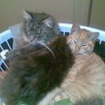 Profile Picture of Lucy Davey (@ldavey007) on Instagram