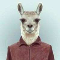 Profile Picture of Misbah Shaikh (@misbah-shaikh-44) on Quora