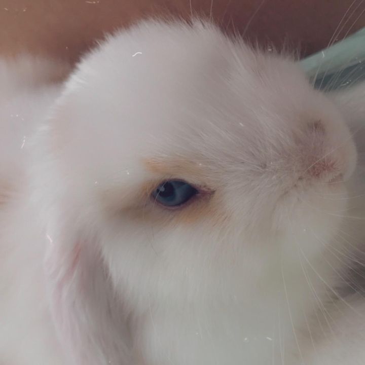 Profile Picture of Mara Firebaugh (@maralynnfirebaugh) on Tiktok