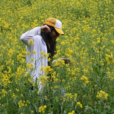 Profile Picture of Daniela Madrigal (@DDMadrigal) on Twitter