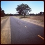 Profile Picture of Brandon Huckabay (@bhuckabay_) on Instagram