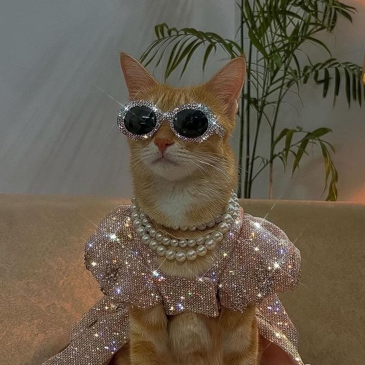 Profile Picture of Catherine Ferron (@cathski) on Tiktok