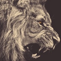 Profile Picture of Justin Stark (@justin-stark-30) on Quora