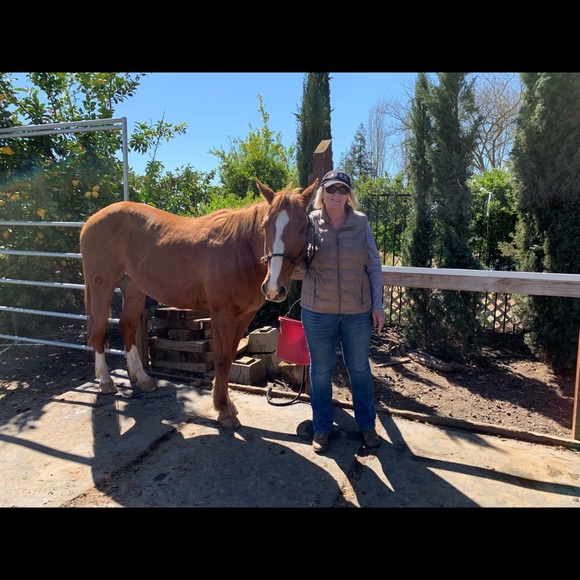 Margaret Munnelly - Poshmark Profile Picture of Margaret Munnelly (@mmunnelly51597) on Poshmark