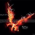 Profile Picture of Thomas Lallinec (@thomaslallinec) on Instagram