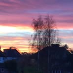 Profile Picture of Shirley Bidwell (@shirley.bidwell.338) on Facebook