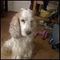 Profile Picture of Ben Curl (@ben.curl.7) on Facebook