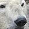Profile Picture of Ted Roberts (@Mr. Ted Roberts) on Flickr