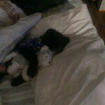 Profile Picture of Frances Russell (@francesrussell) on Instagram