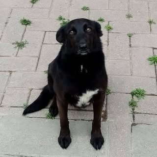 Giancarlo - Instagram Profile Picture of Giancarlo (@giancarlocaruzzo) on Instagram