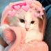 Profile Picture of Kelly Davin (@kelly.davin.129) on Facebook