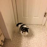 Jason Goode - Instagram Profile Picture of Jason Goode (@goode6633) on Instagram