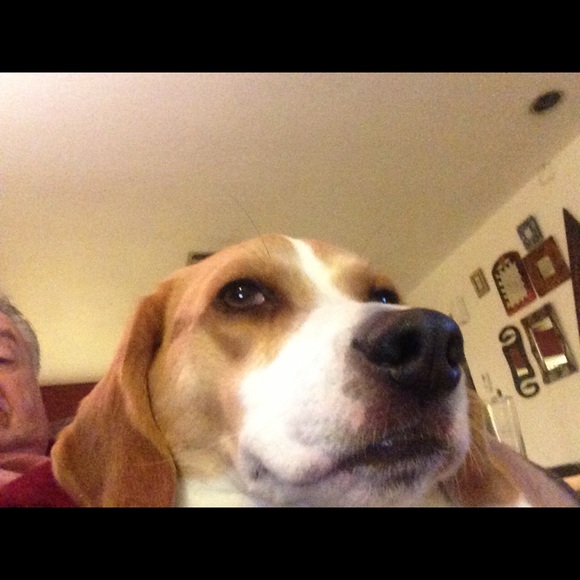 Profile Picture of Michael Bindman (@scotsman) on Poshmark