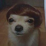 Profile Picture of 𝔇𝔞𝔳𝔦𝔡 𝔰𝔞𝔪𝔞𝔫𝔬 (@bde_david) on Instagram