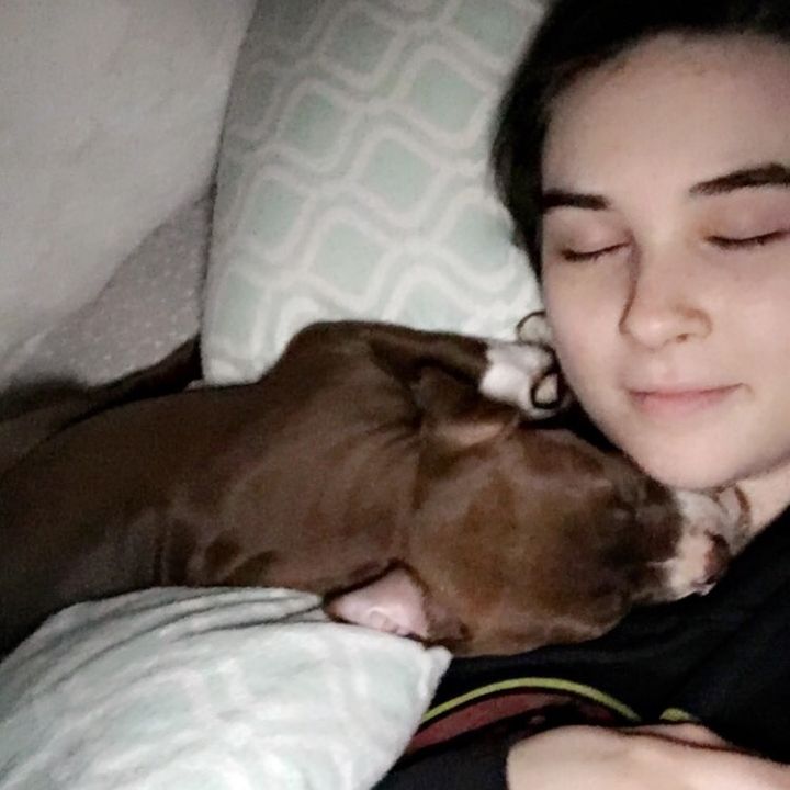 Profile Picture of Beatrice Tompkins (@@beatricetompkins) on Tiktok