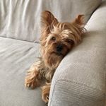 Profile Picture of Toby's Kitchen (@kitchendetoby) on Instagram