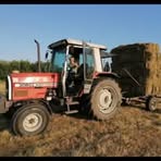 Profile Picture of David Goedhart (@David-Goedhart) on Facebook