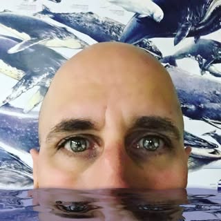 Christopher Lilienthal - Instagram Profile Picture of Christopher Lilienthal (@liliatsea) on Instagram